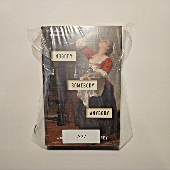 Nobody, Somebody, Anybody: A Novel - Hardcover By McClorey, Kelly - NEW - Picture 9 of 9